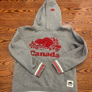 Roots pullover hoodie